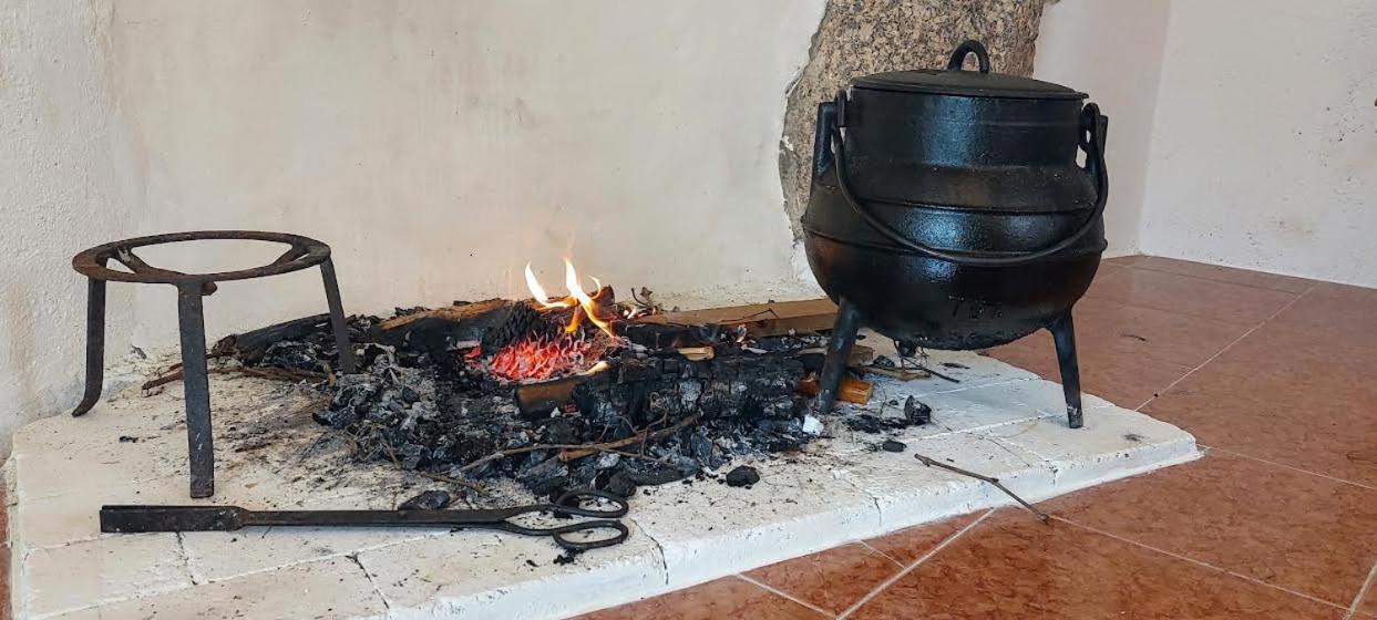 A Casa Da Rapariga De Cabelo Azul Lägenhet Manteigas Exteriör bild