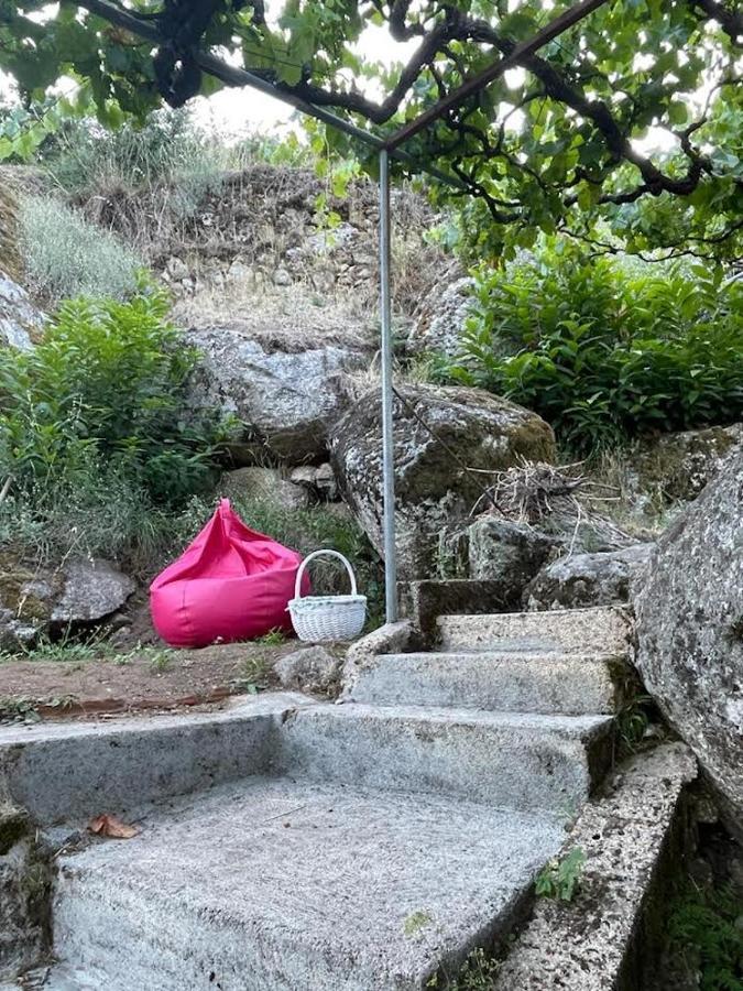 A Casa Da Rapariga De Cabelo Azul Lägenhet Manteigas Exteriör bild