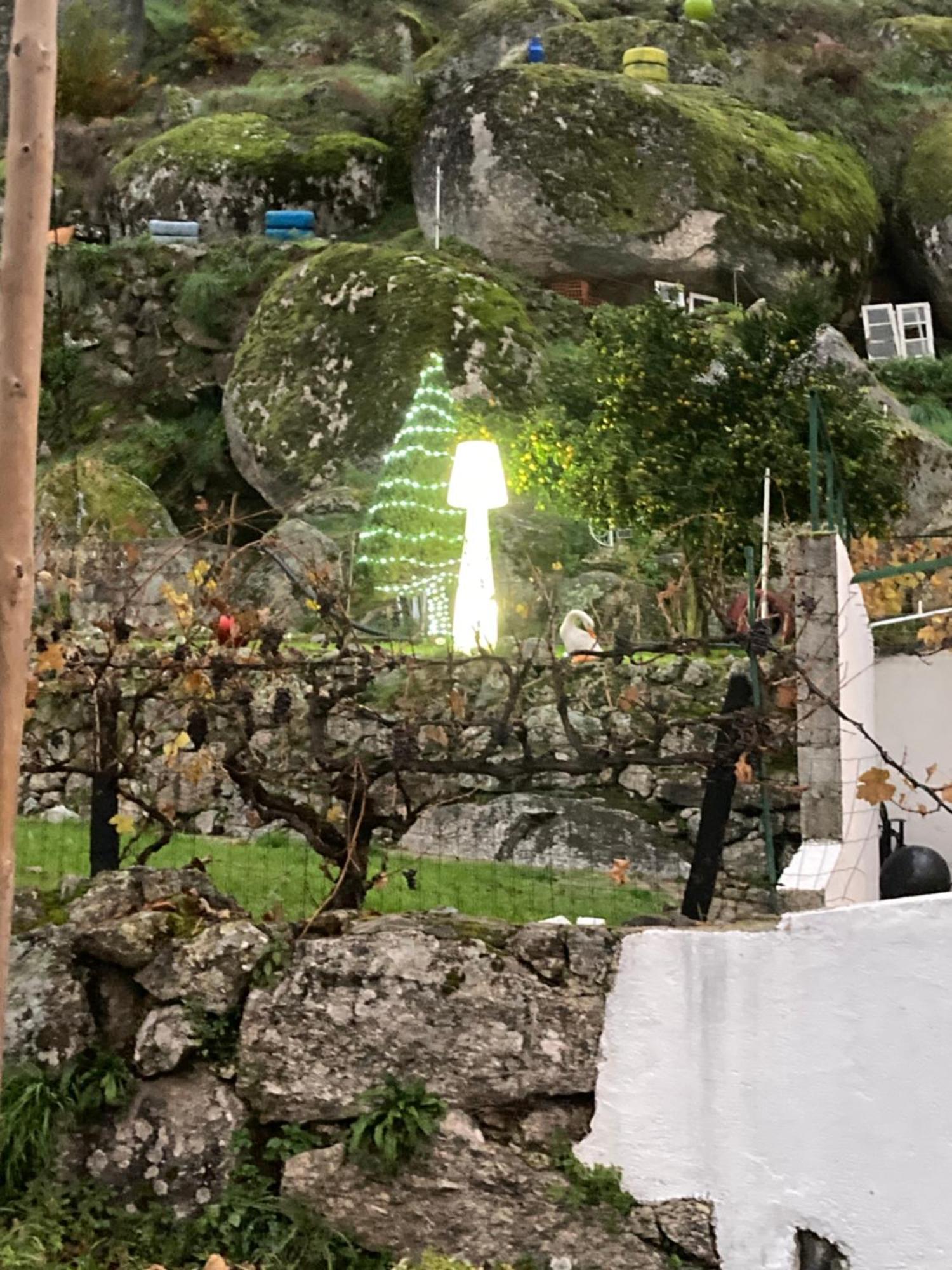A Casa Da Rapariga De Cabelo Azul Lägenhet Manteigas Exteriör bild